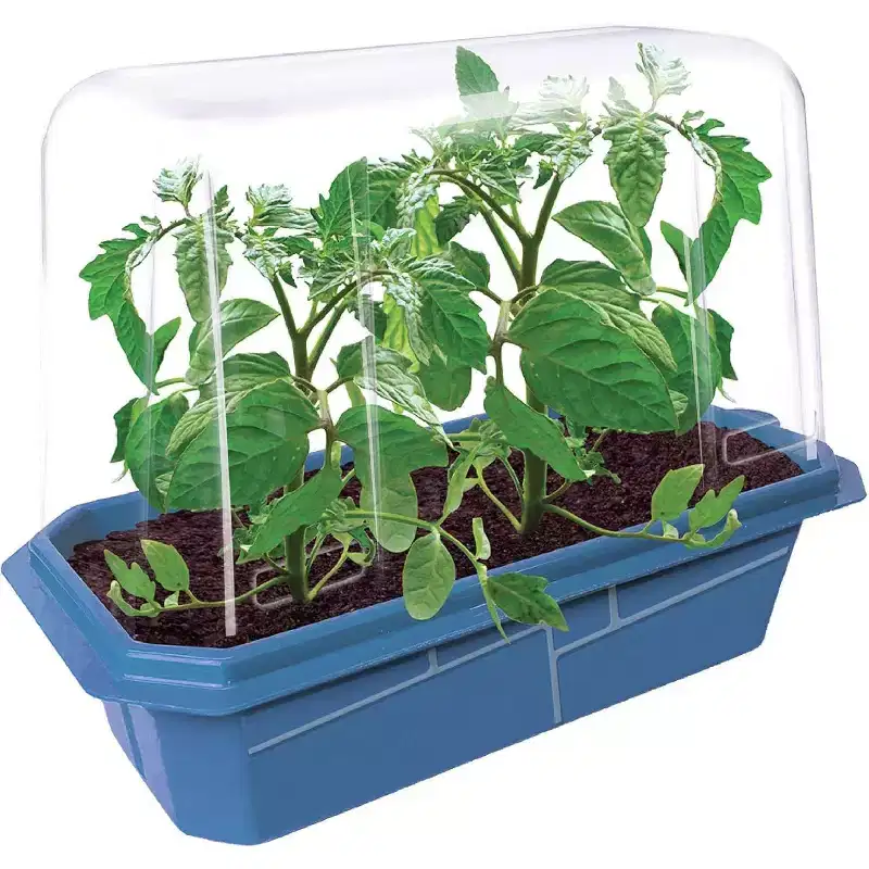 Tomato Plant Garden Kit, Complete Seed Starter Set to Grow Live Plants, Indoor and Outdoor Gardening Seeds for Planting Vegetables, Just Add Water